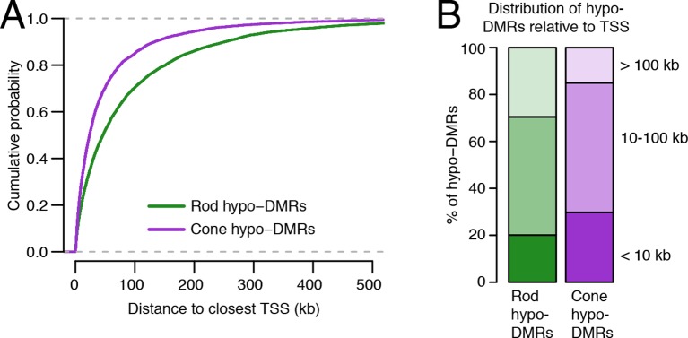 Figure 2—figure supplement 2.