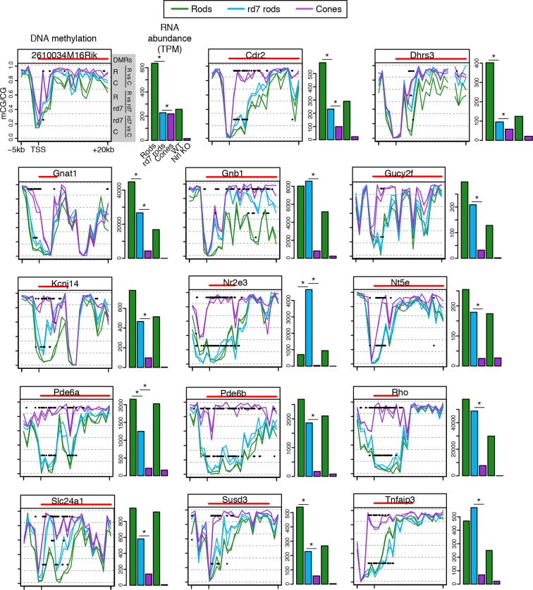 Figure 6—figure supplement 2.