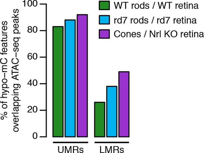 Figure 1—figure supplement 2.