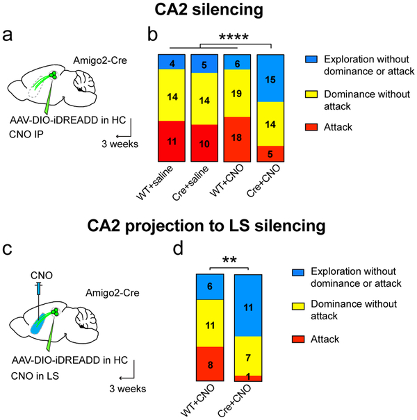 Figure 2: