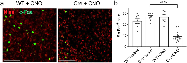 Figure 4: