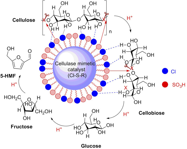 FIGURE 4