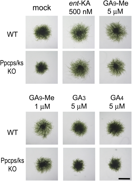 Figure 7.