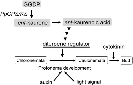 Figure 9.