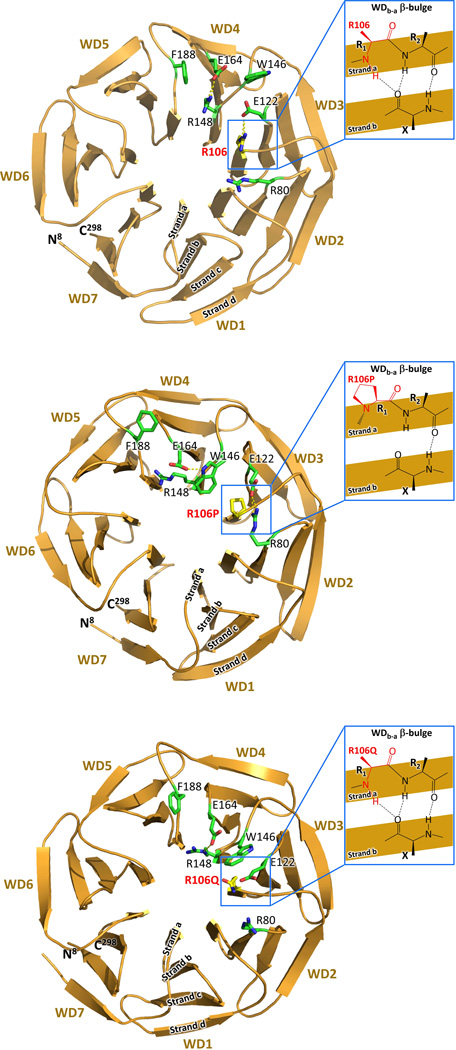 FIGURE 3