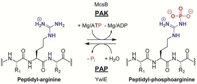 Figure 47