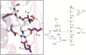 Figure 29