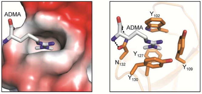 Figure 36