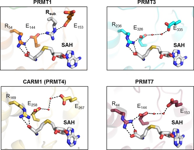 Figure 30