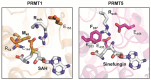 Figure 31