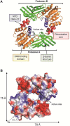 Figure 25