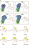 Figure 23