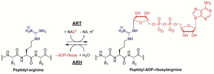 Figure 49