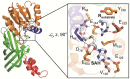 Figure 27