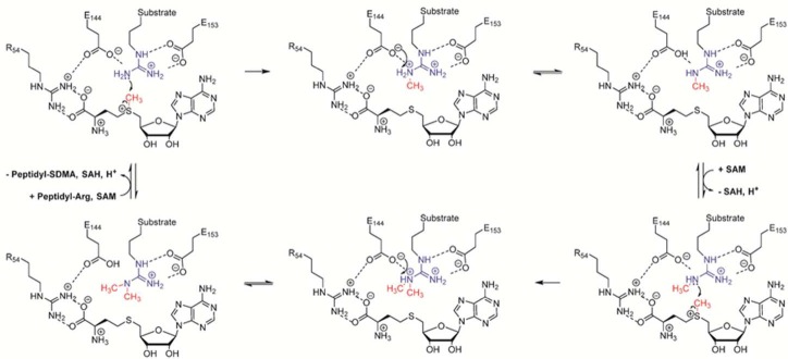 Figure 33