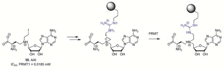 Figure 38