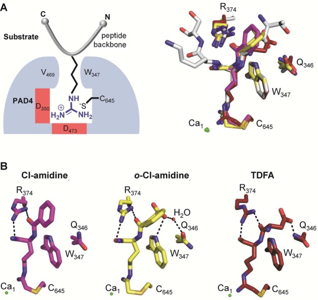 Figure 17