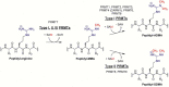 Figure 22