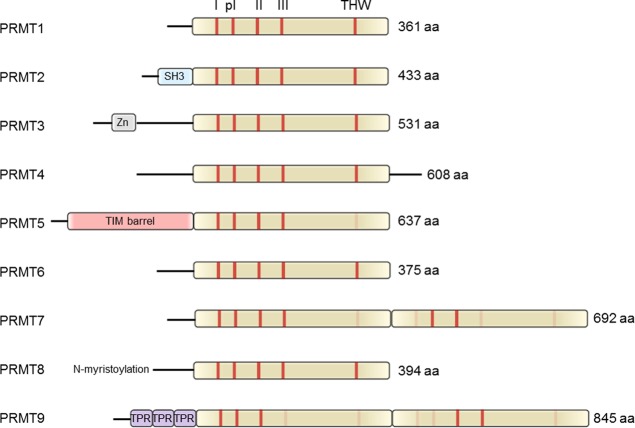 Figure 21