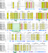 Figure 24
