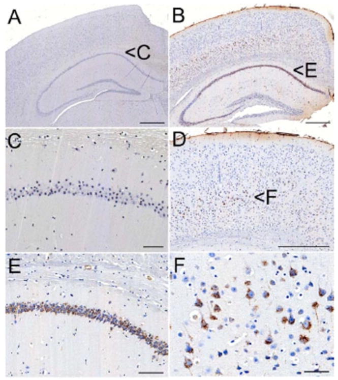 Fig. (2)