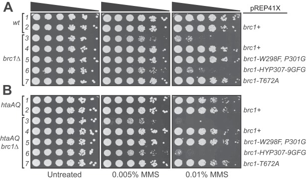 FIG 3