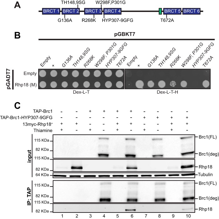 FIG 2