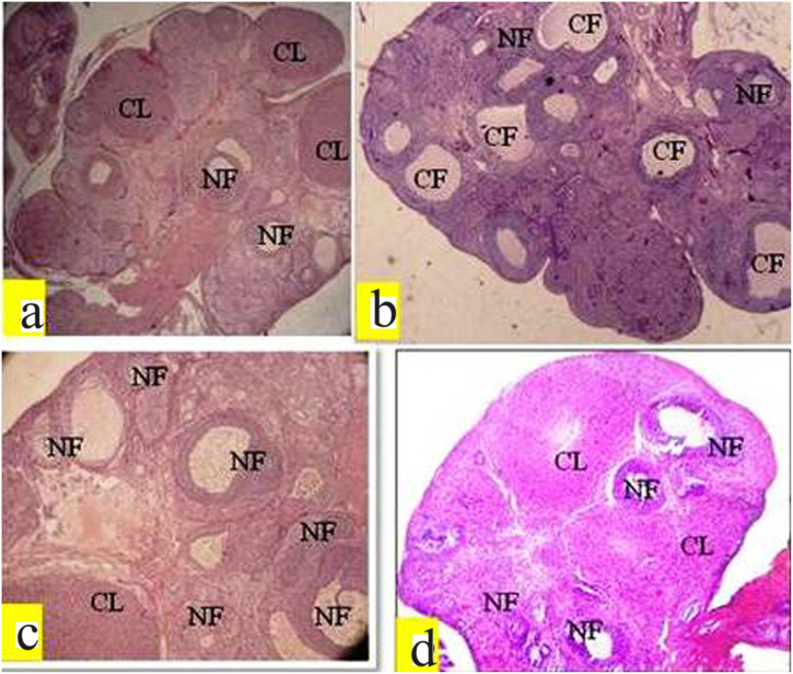 Fig. 7