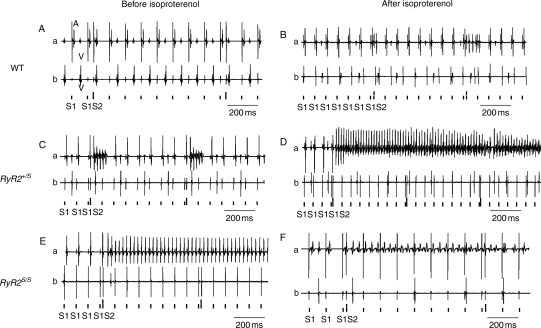 Figure 4