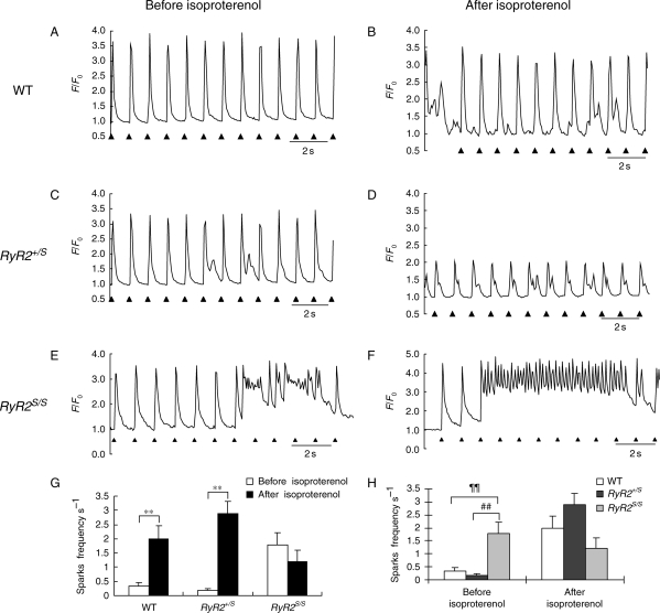 Figure 6