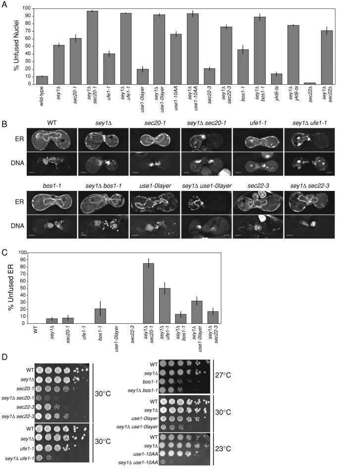 FIGURE 6: