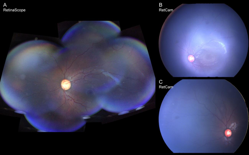 Figure 2: