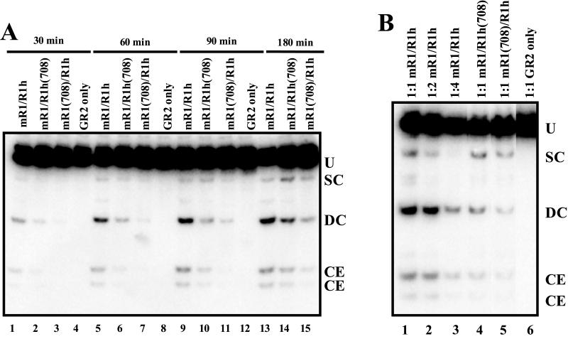 FIG. 5