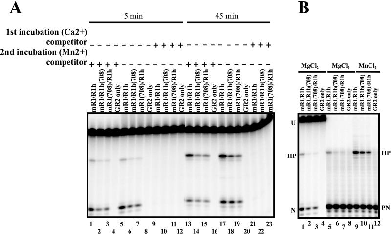 FIG. 4