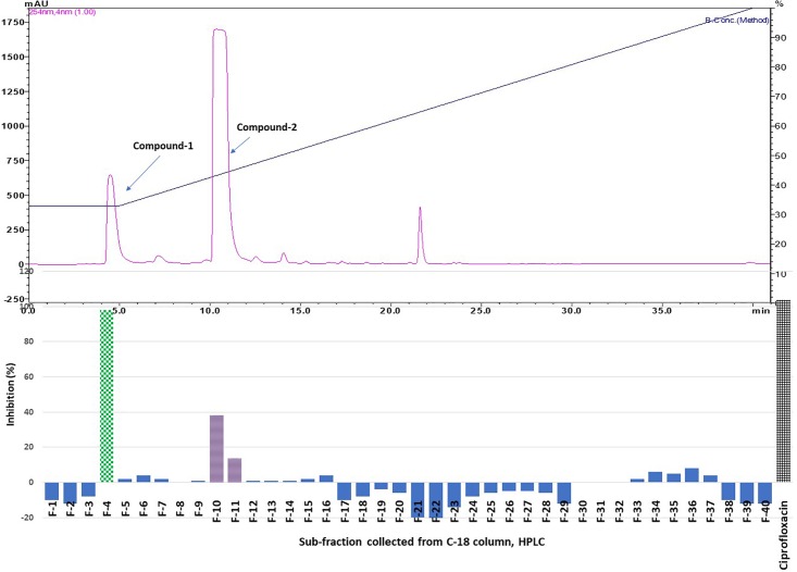 FIGURE 4