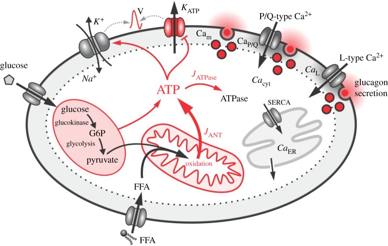 Figure 1.