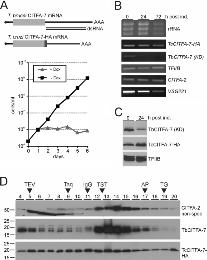 Fig 6