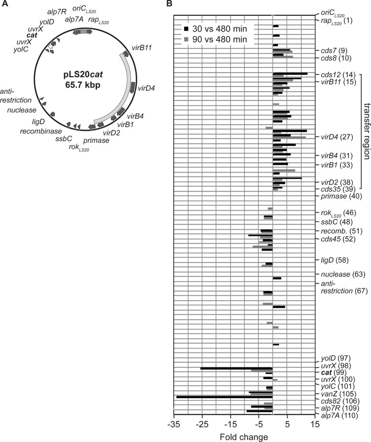 FIG 4