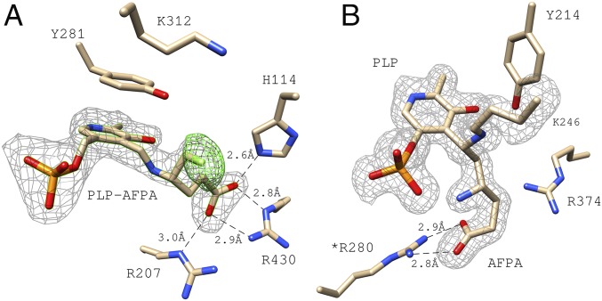 Fig. 5.