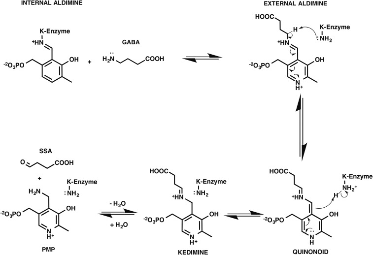 Scheme S1.