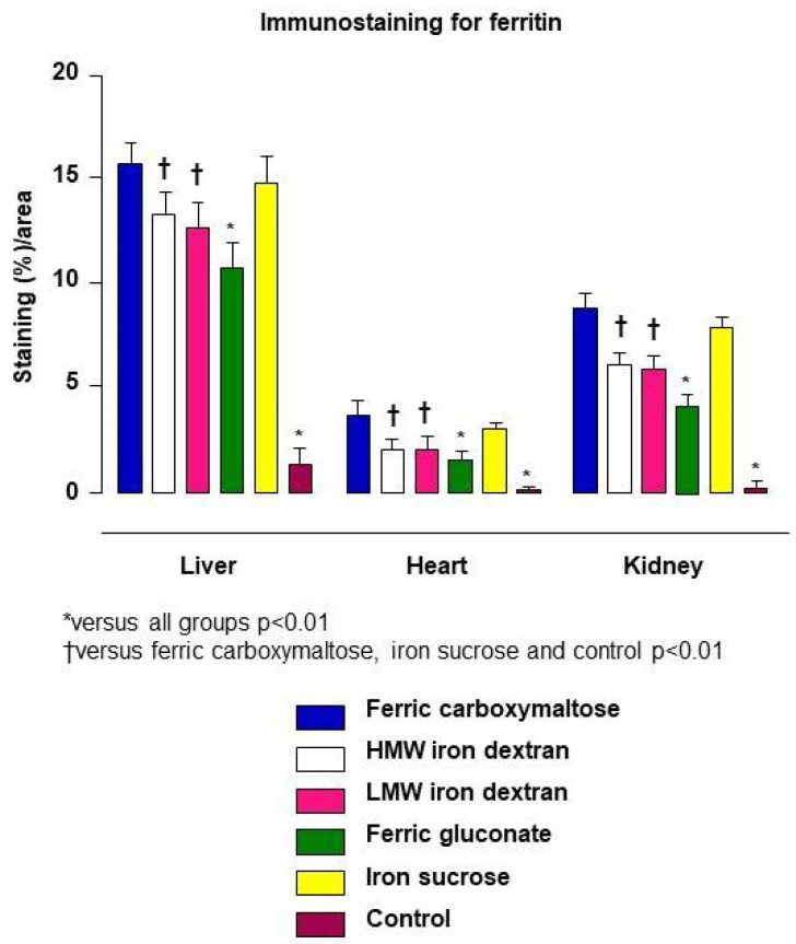 Criticality of Surface Characteristics of Intravenous Iron–Carbohydrate ...