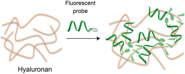 graphic file with name 44211_2023_491_Figa_HTML.jpg