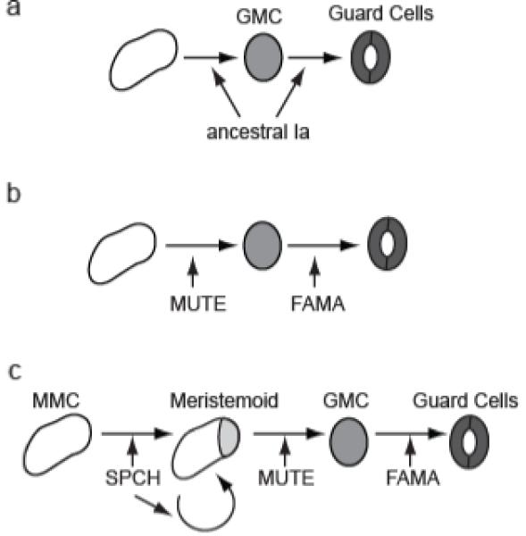 Fig.4