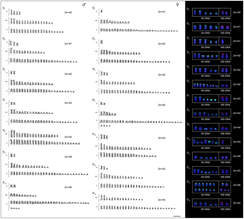 FIGURE 3