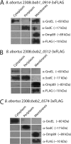 FIG 3