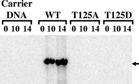 FIG. 8.