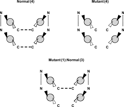 FIGURE 7.