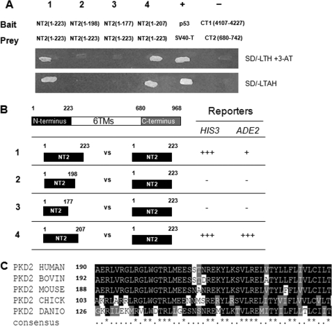 FIGURE 3.