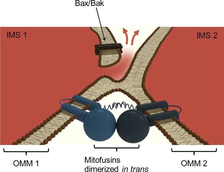 Fig. 2.