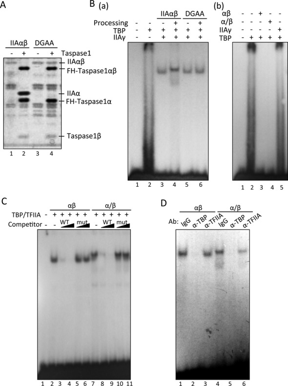 Figure 5.